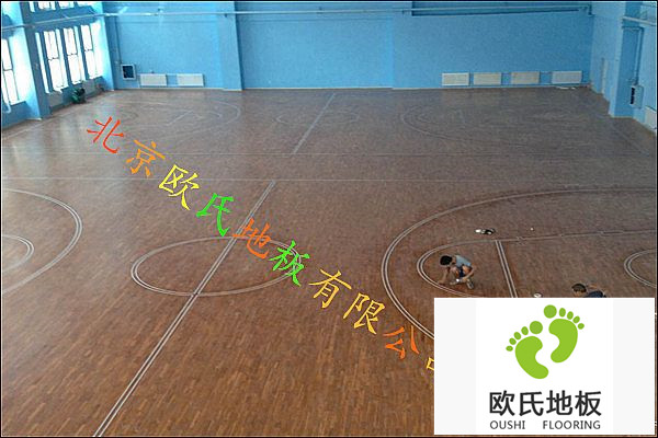 歐氏籃球木地板，5大特點遙遙領先！